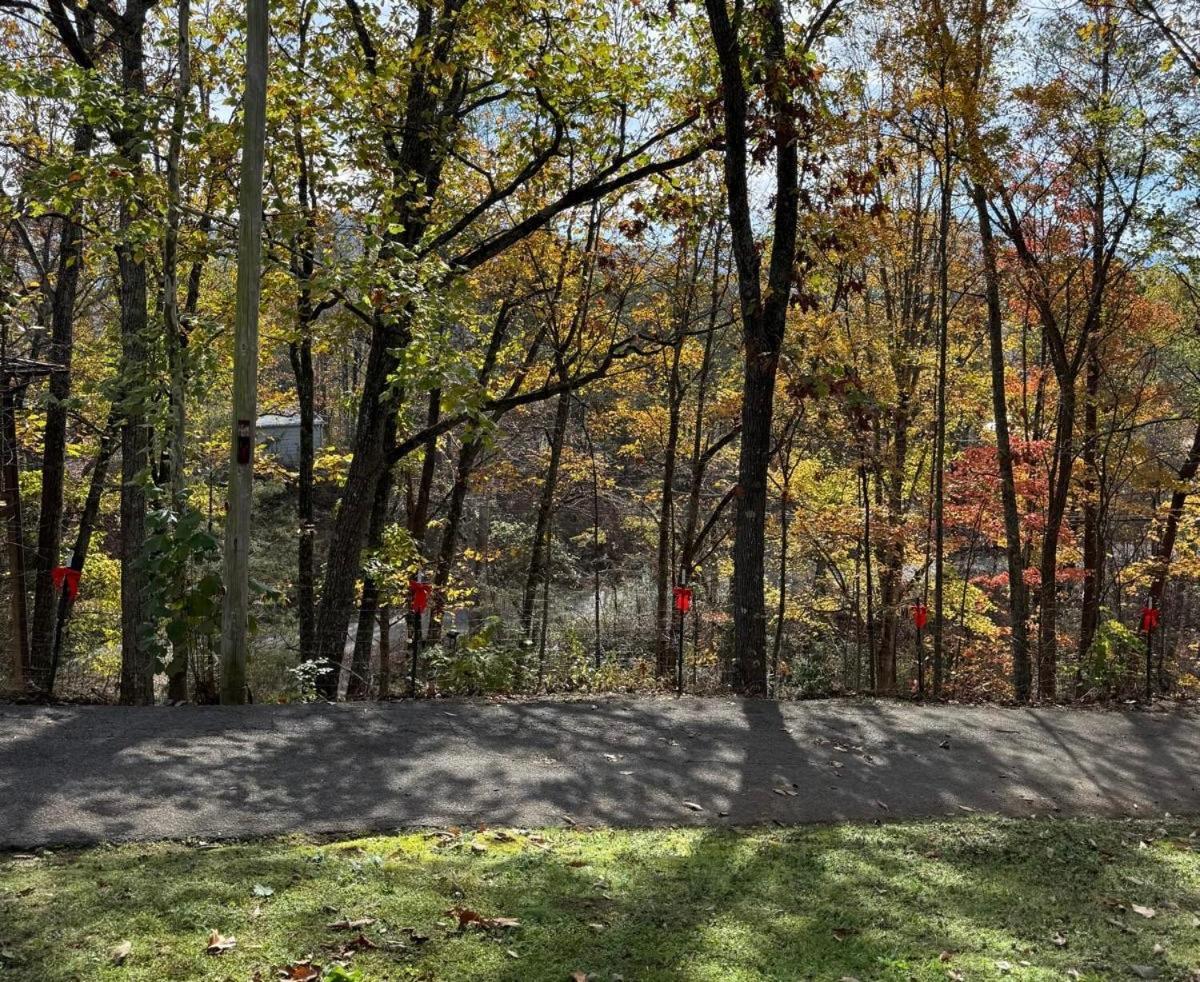 Paradise At The Smokies With Hot Tub! Holiday home